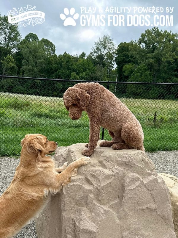 369715381 753309646805555 2280890786848087602 n