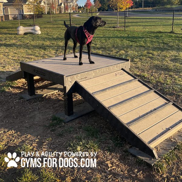 Dog Playground Equipment Bridge Climb05