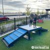 Dog Playground Equipment Bridge Climb08
