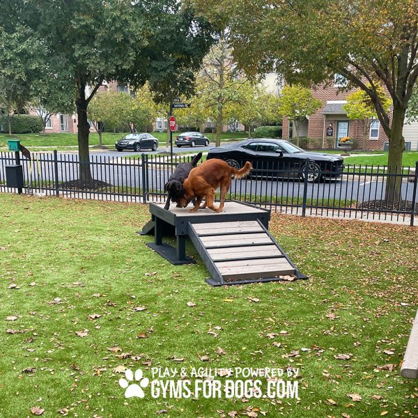 Dog Playground Equipment Bridge Climb10