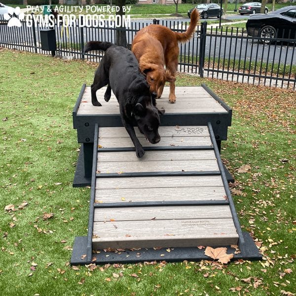 Dog Playground Equipment Bridge Climb11