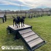 Dog Playground Equipment Bridge Climb15