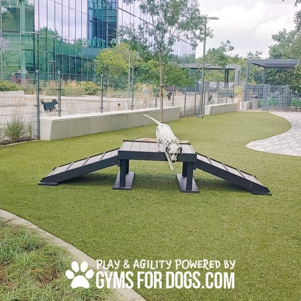Dog Playground Equipment Bridge Climb17