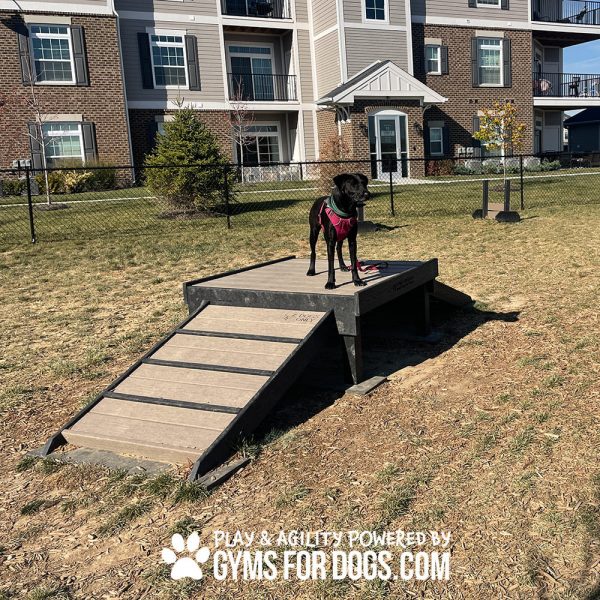 Dog Playground Equipment Bridge Climb18