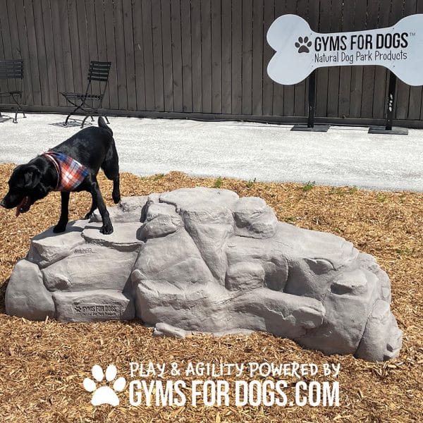 Dog Playground Equipment Luxury Climbing Boulder XL 02