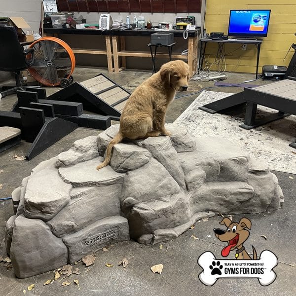 Dog Playground Equipment Luxury Climbing Boulder XL 03