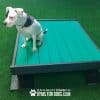 Dog Playground Equipment Training Platform LX 03