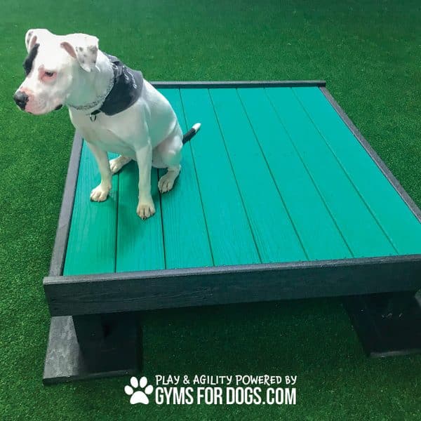 Dog Playground Equipment Training Platform LX 03