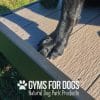 Dog Playground Equipment Training Platform LX 06