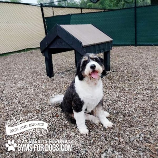 Dog Playground Equipment Tunnel House SM 02