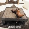 DogonBackTrainingPlatform PG26