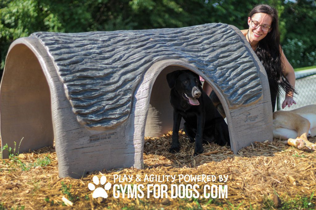 Hammie's Tunnel House | Dog Park Outfitters
