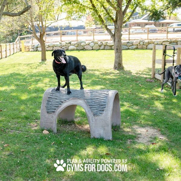 Hammie's Tunnel House SM - Dog Park Outfitters Hammie's Tunnel House SM