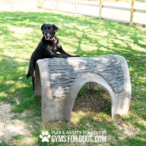 Gyms For Dogs Hammies Tunnel House SM RustysRanch3 - Dog Park Outfitters Gyms For Dogs Hammies Tunnel House SM RustysRanch3