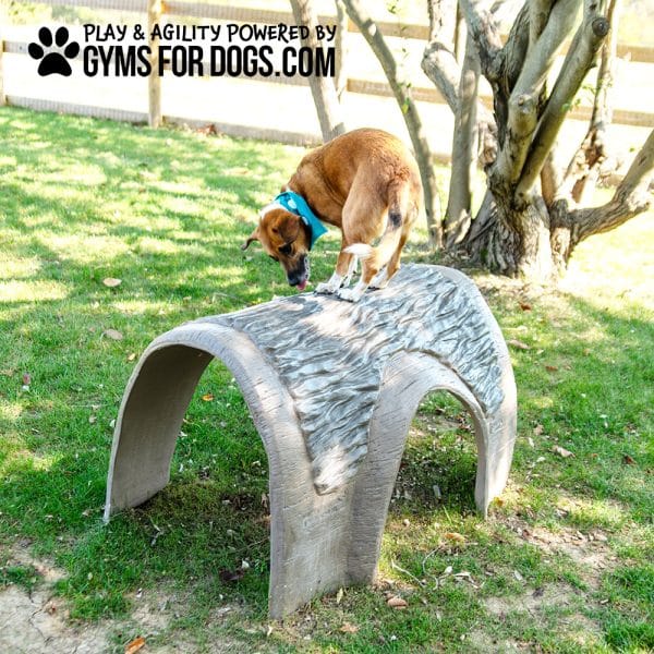 Gyms For Dogs Hammies Tunnel House SM RustysRanch4 - Dog Park Outfitters Gyms For Dogs Hammies Tunnel House SM RustysRanch4