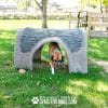 Gyms For Dogs Hammies Tunnel House SM RustysRanch6 - Dog Park Outfitters Gyms For Dogs Hammies Tunnel House SM RustysRanch6