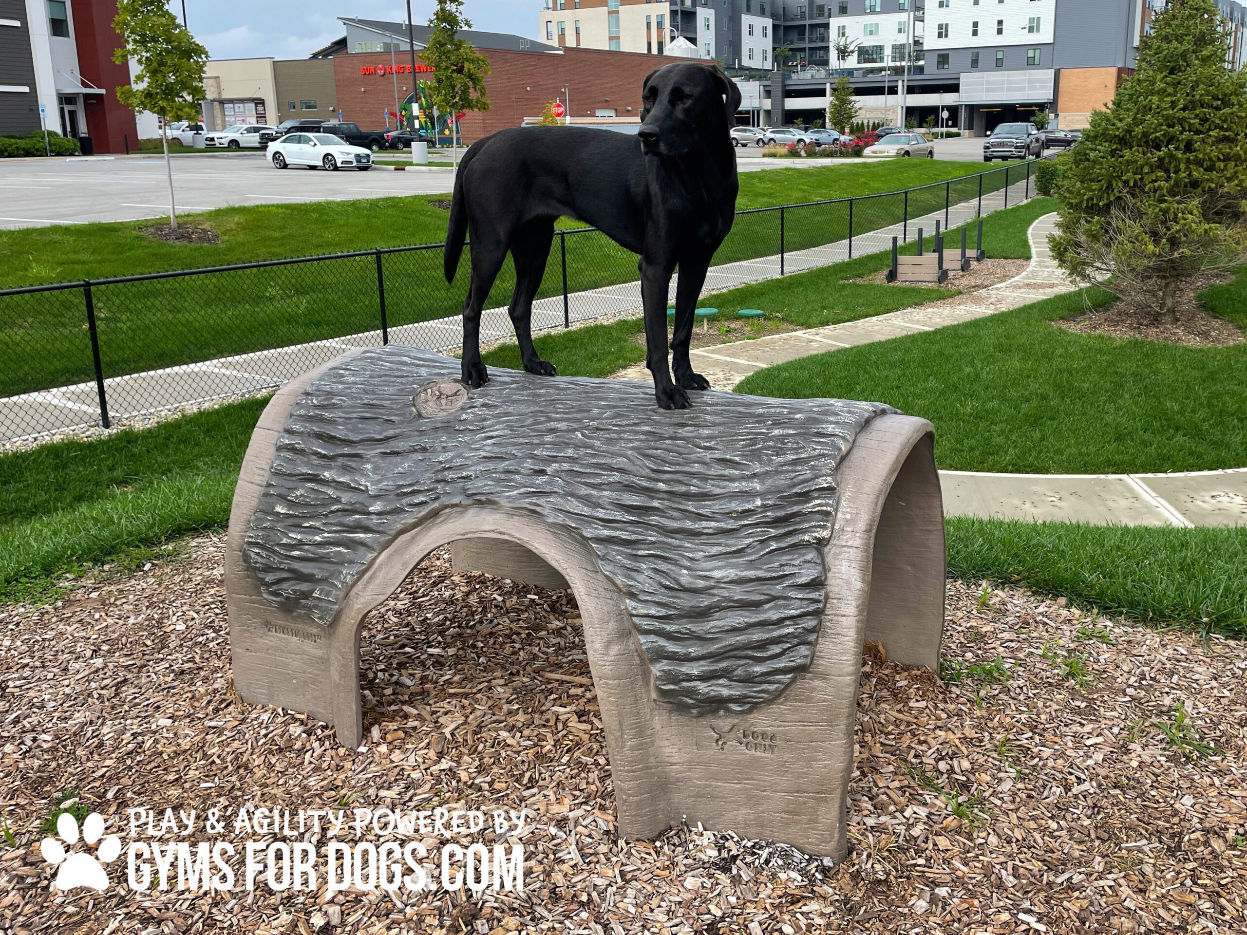 Hammie's Tunnel House | Dog Park Outfitters