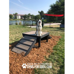Bridge Climb | Gyms For Dogs | DogParkOutfitters
