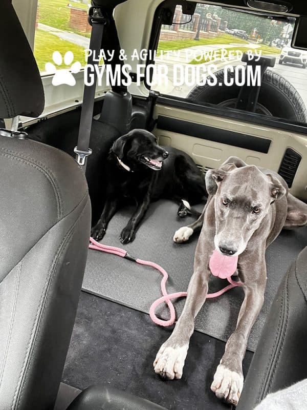 Jump Dog Agility Mat