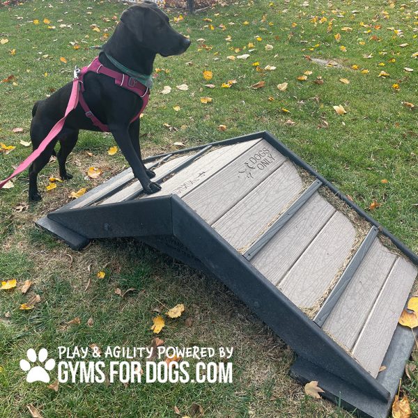 Mini Hill Climb SM GymsForDogs Maggie