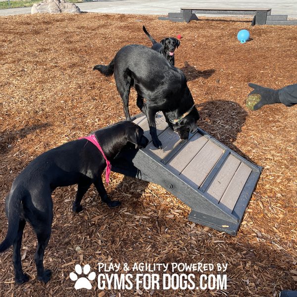 Mini Hill Climb SM GymsForDogs WH2