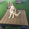 Training Platform Nutmeg