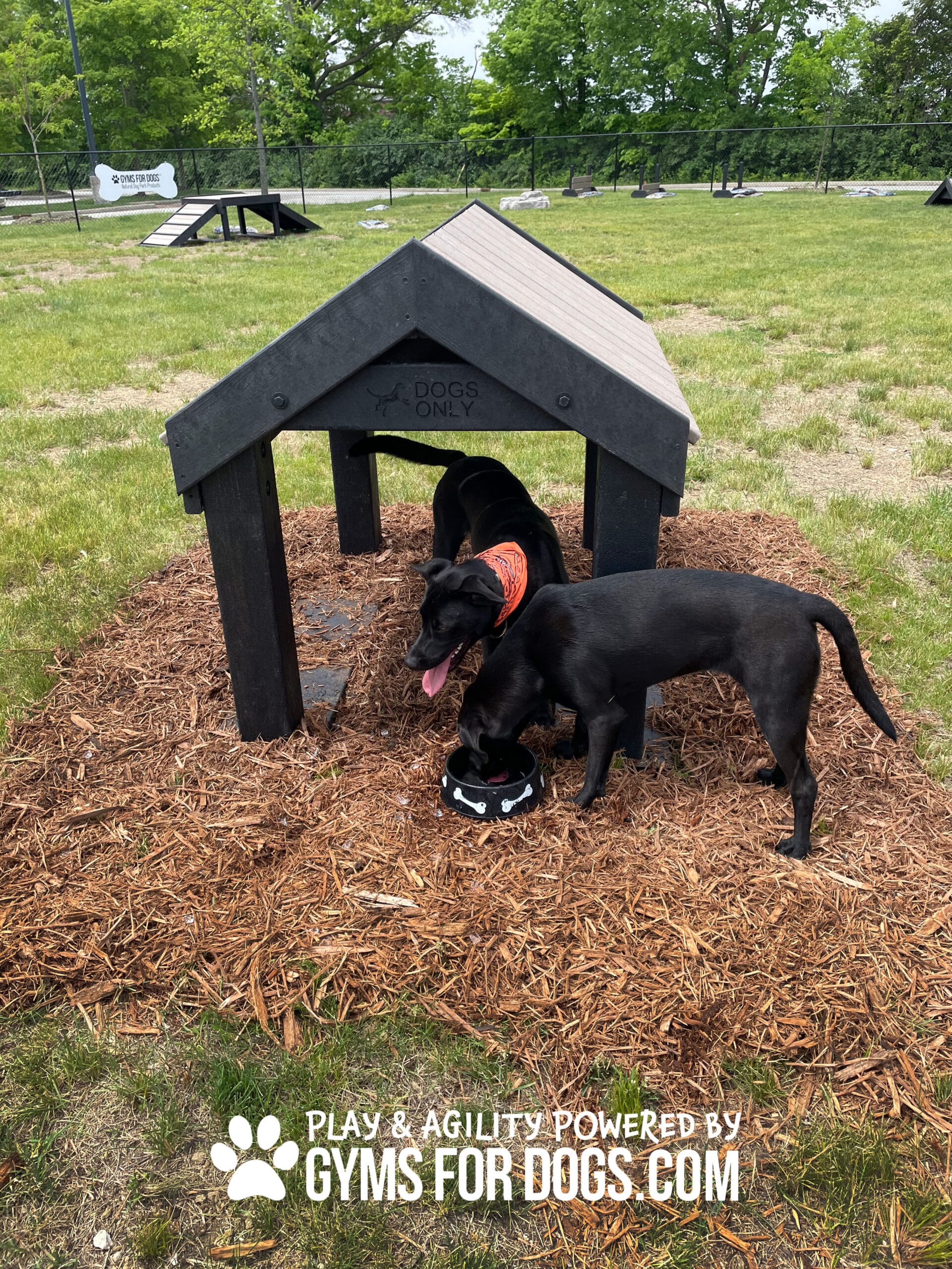 TunnelHouse | Gyms For Dogs | Dog Park Outfitters