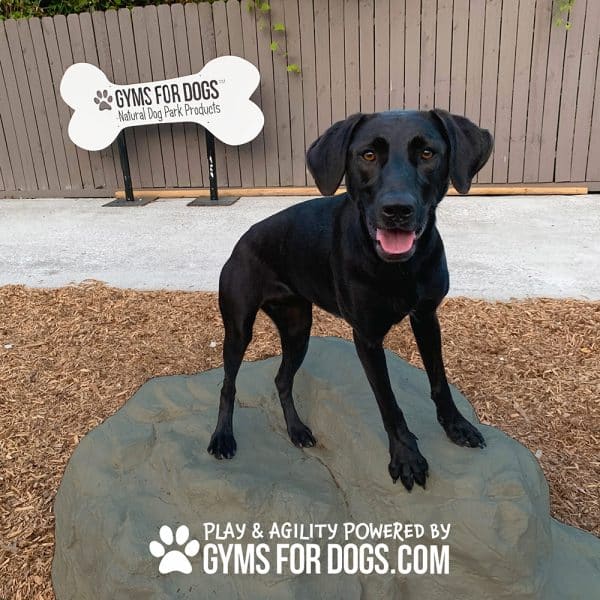 dog playground equipment luxury climbing boulder sm 18