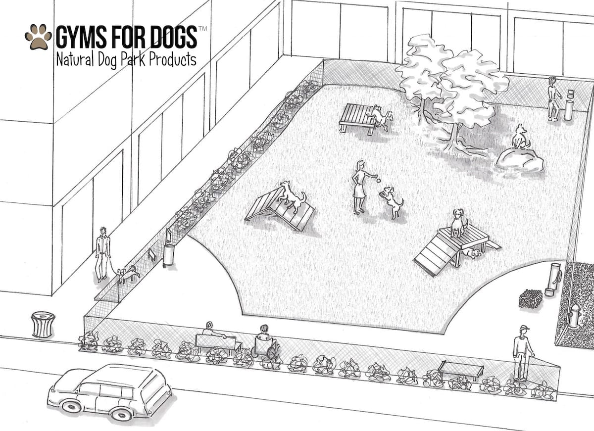 gyms for dogs park rendering