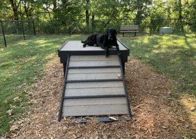 bridge climb dog park outfitters