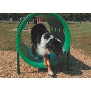 Tunnel Thru | Dog Park Outfitters