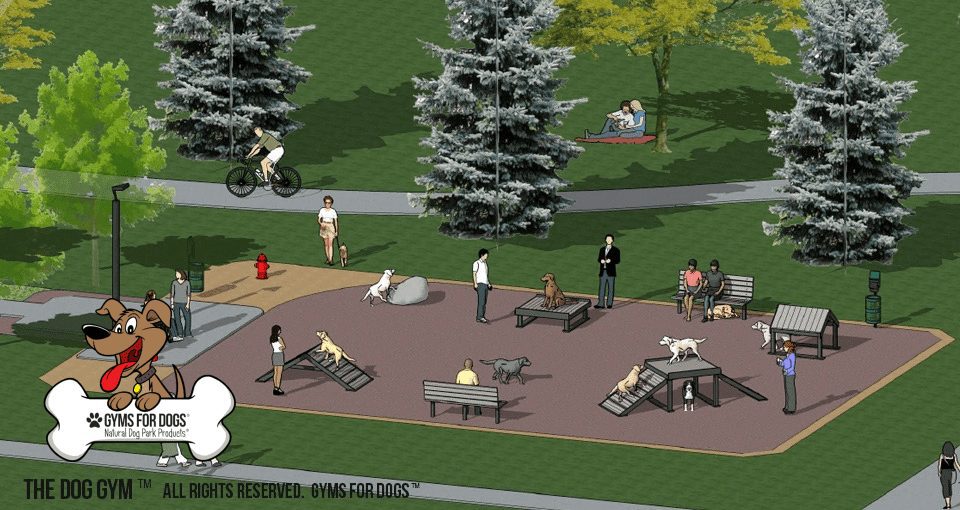 climb and play dog park