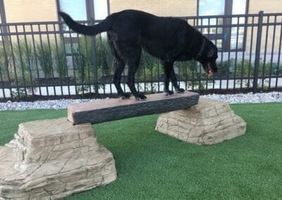 dog park outfitters   gyms for dogs   dog park agility equipment   ellies balance beam 7 ft play wm 600x
