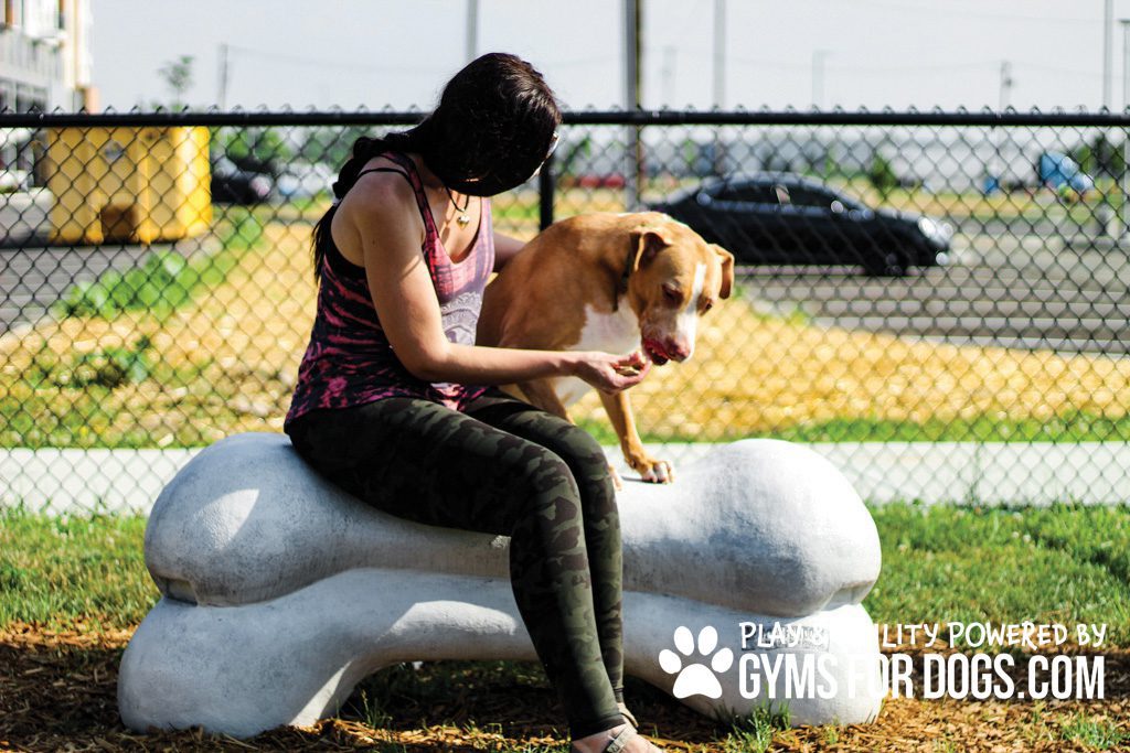 Agility Bone Small | Gyms For Dogs | Dog Park Products