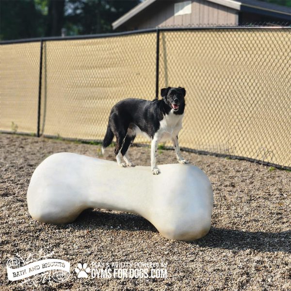 Agility Bone (CRT) - 4 ft Heavy Concrete