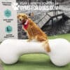 AgilityBone Large GymsForDogs ASLA