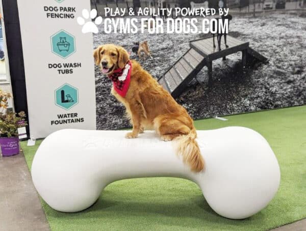 AgilityBone Large GymsForDogs ASLA