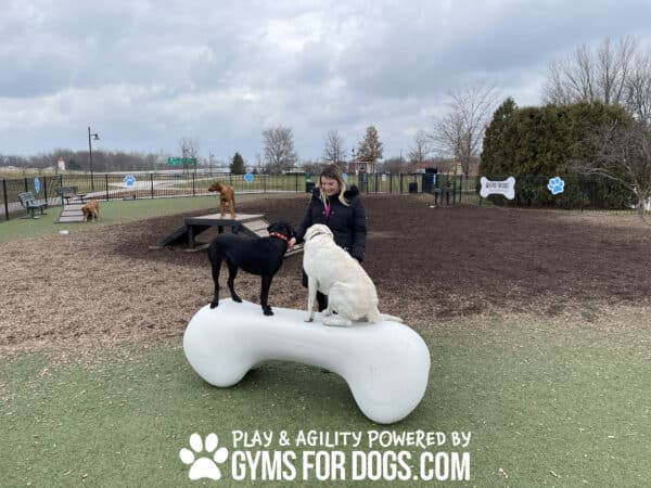 AgilityBone Large GymsForDogs Winter2