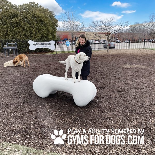 Dog Playground Equipment Agility Bone LG 03