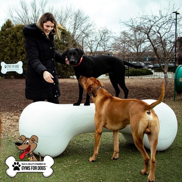 Dog Playground Equipment Agility Bone LG 06.