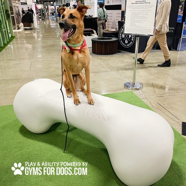 Ellie Bear's Play & Agility Bone (Fiberglass)
