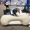 NEW AgilityBone FBR Small 1