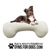 NEW AgilityBone FBR Small 2