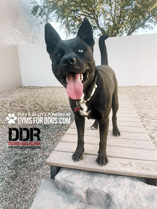 450484305 1024001729088910 7884573112892216734 n