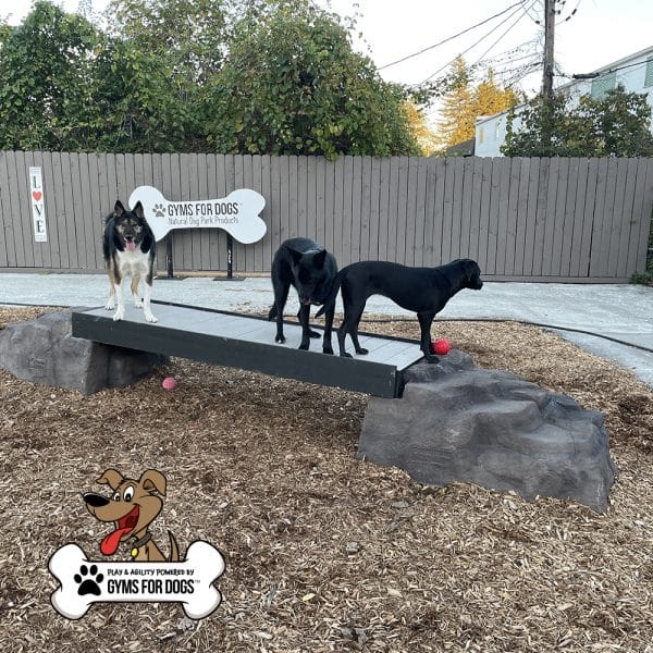 dog park equipment ellies boulder bridge st 07