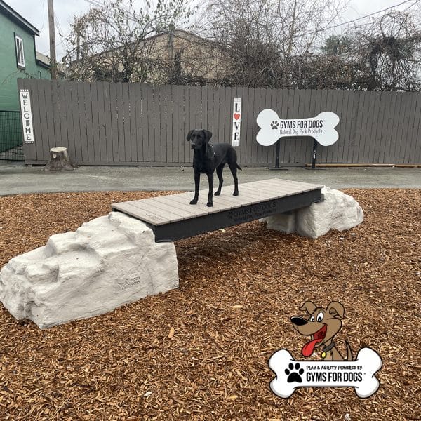 dog park equipment ellies boulder bridge st 17