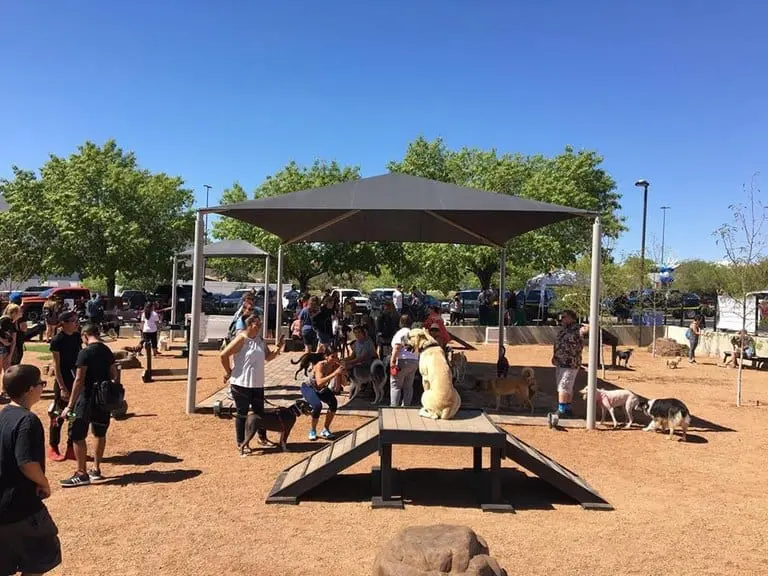 dog park shade