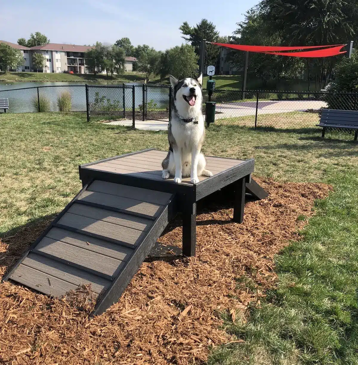 dog playground bridge climb