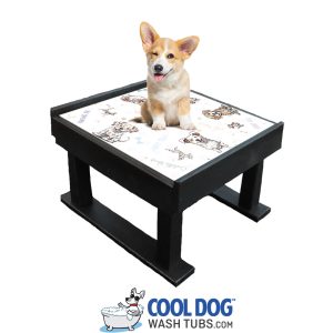Dog Park Outfitters Grooming Platform