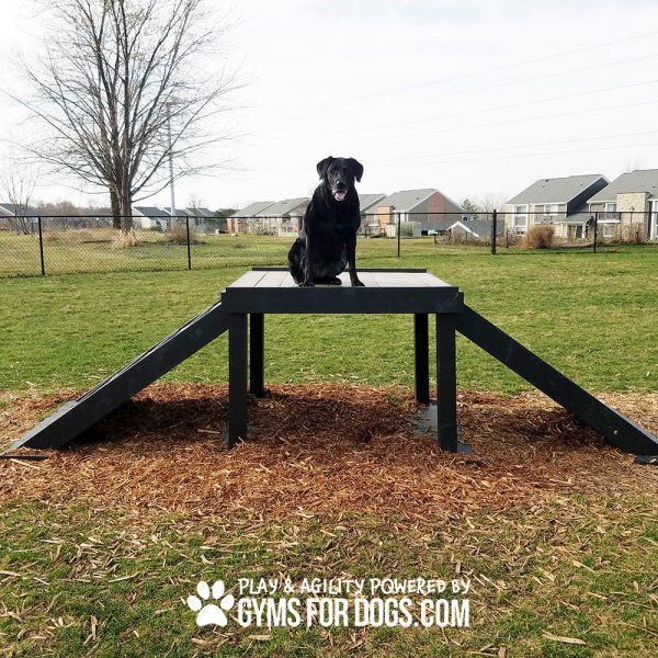 Dog Playground Equipment Bridge Climb XXL 10